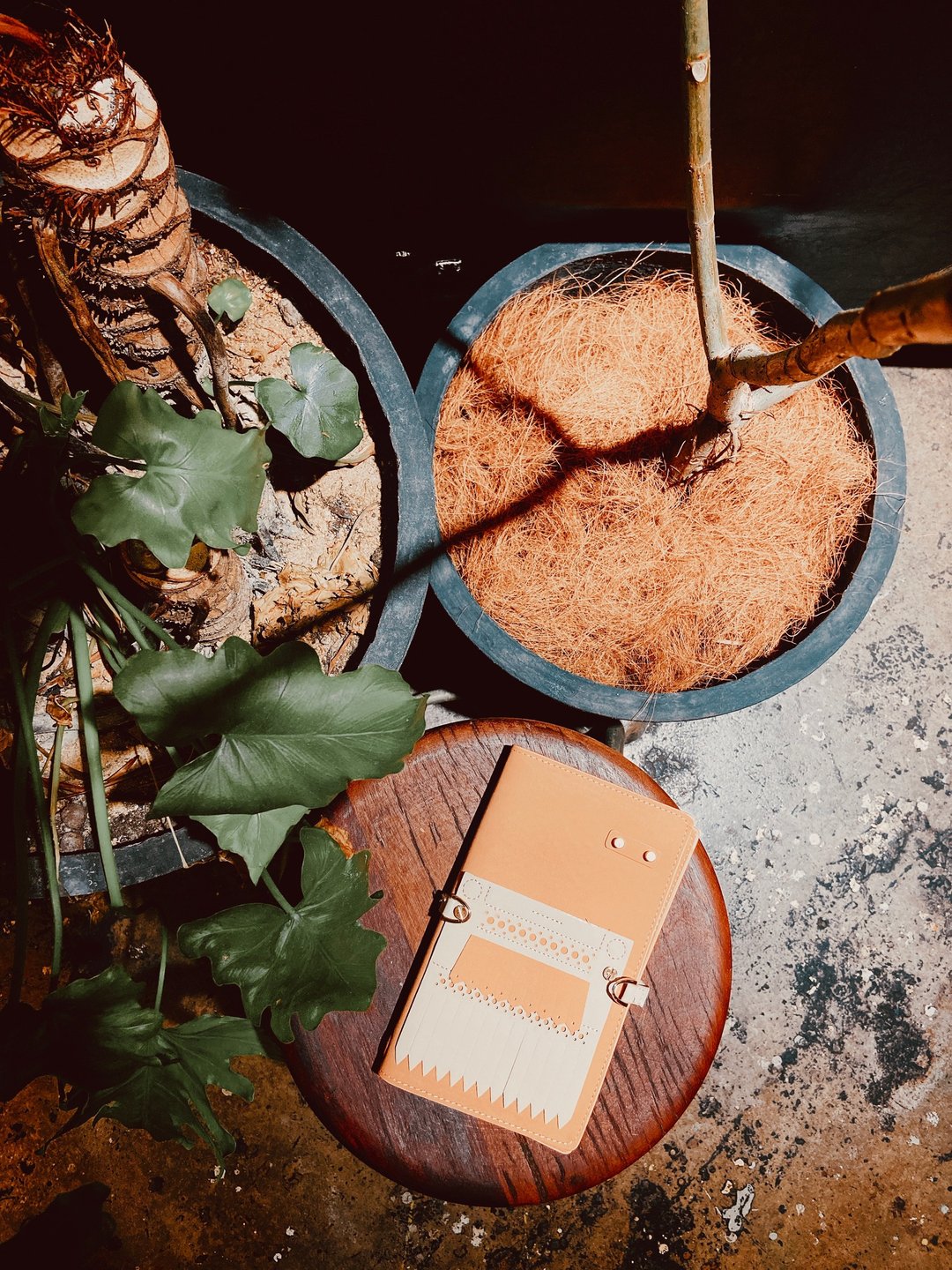2023 | 有朝一日 • 文房具 - 素食者皮革 香草色日记本/ 手帐本 - 笔记本/手帐 - 环保材料 卡其色