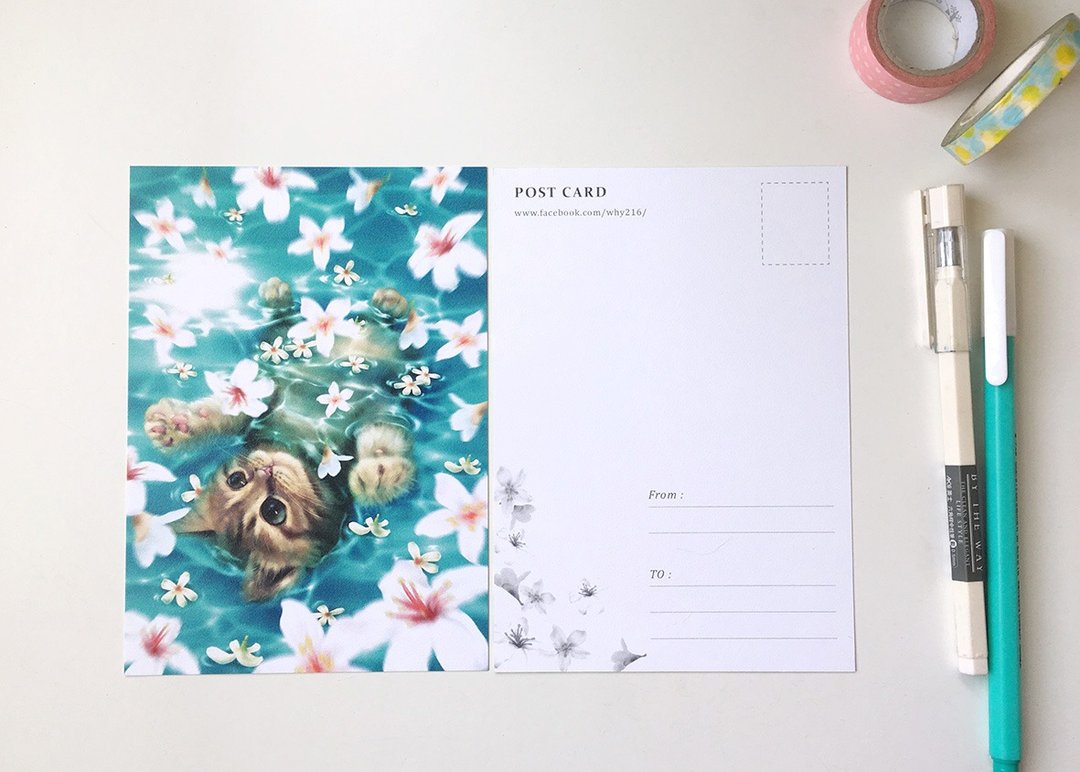动物插画明信片【赏油桐花的小猫】 - 卡片/明信片 - 纸 白色