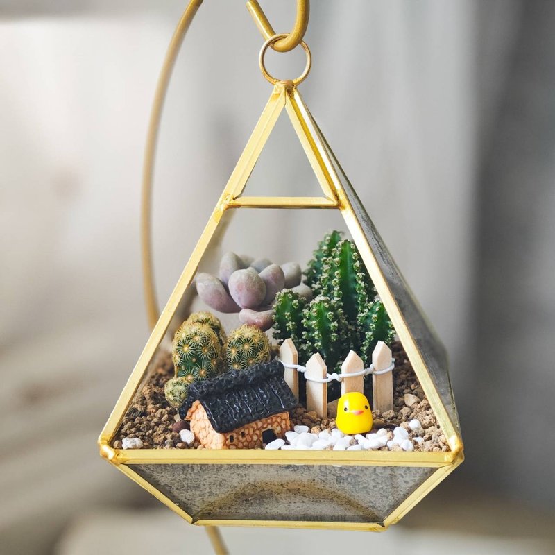 【台北场】下班随手作 | 月牙多肉三角玻璃屋 - 植栽 - 植物．花 