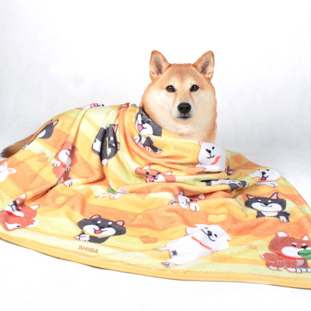 SHIBAINC | 柴犬工房空调毯 (黄色) 柴犬 毛毯 柴犬毛毯 午睡毯 - 其他 - 其他材质 黄色