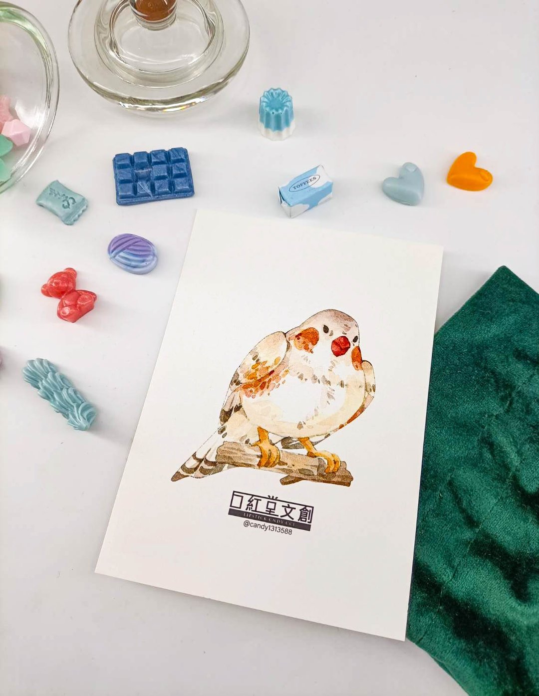KR474_口紅堂明信片_文鳥12_candy1313588 postcard - 卡片/明信片 - 纸 多色