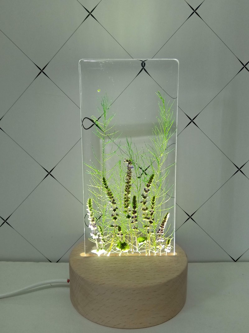 手作疗愈LED小夜灯 - 灯具/灯饰 - 玻璃 多色