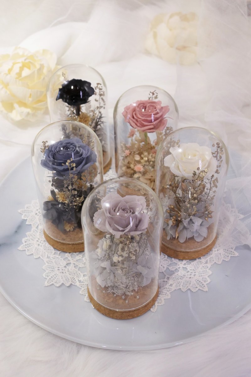 Rosemary小小花园玻璃罩-铂金爵士  永生花/情人节/生日/毕业礼物 - 干燥花/捧花 - 植物．花 多色