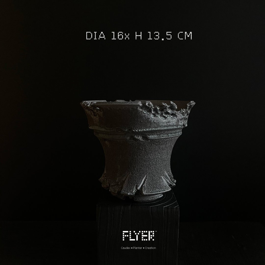 FLYER 块根多肉植物陶盆器 龙舌兰象牙宫象足漆树盆器 - 花瓶/陶器 - 陶 黑色