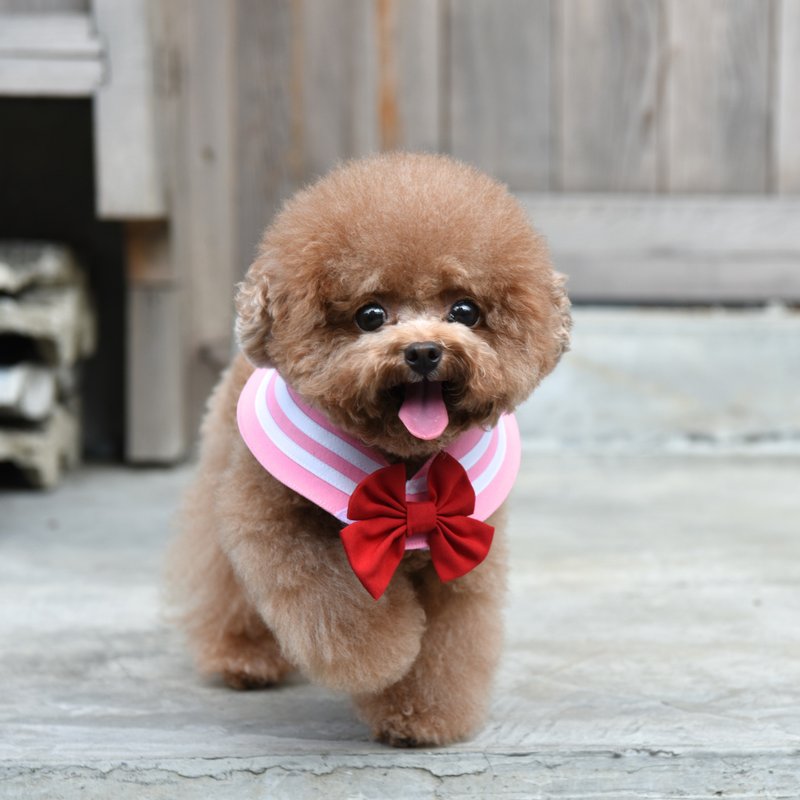 萌少女战士水手领 - 小小兔 **两种穿搭、附蝴蝶结或水手结** - 衣/帽 - 棉．麻 粉红色