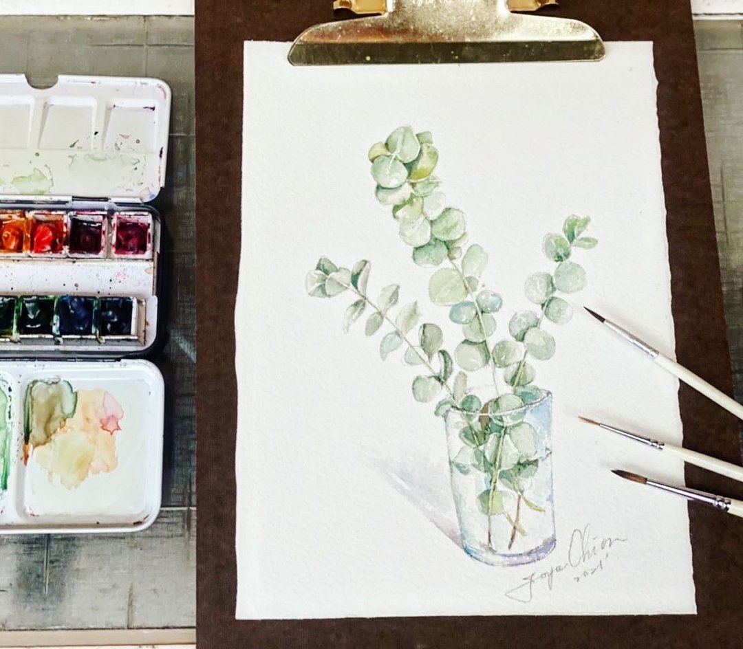 【一人成团】new*Joyce的植物插画 | 水彩绘香草系 尤加利叶 - 插画/绘画/写字 - 纸 
