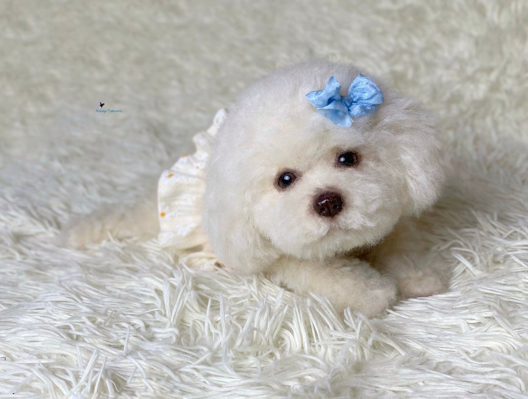 桃子贵宾犬逼真的玩具 - 玩偶/公仔 - 聚酯纤维 白色
