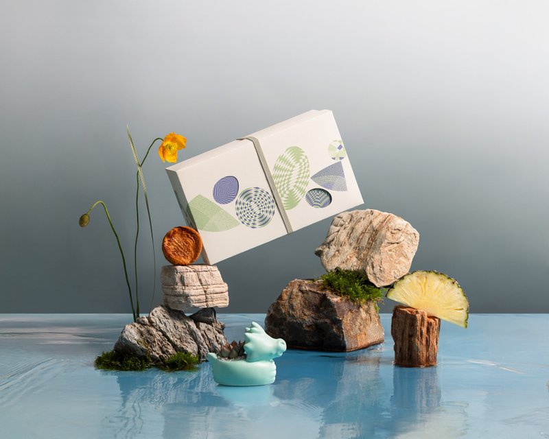 端午礼盒  绿舟金运礼盒 | 有肉 CUPETIT 多肉植物 法式甜点 - 植栽/盆栽 - 植物．花 蓝色