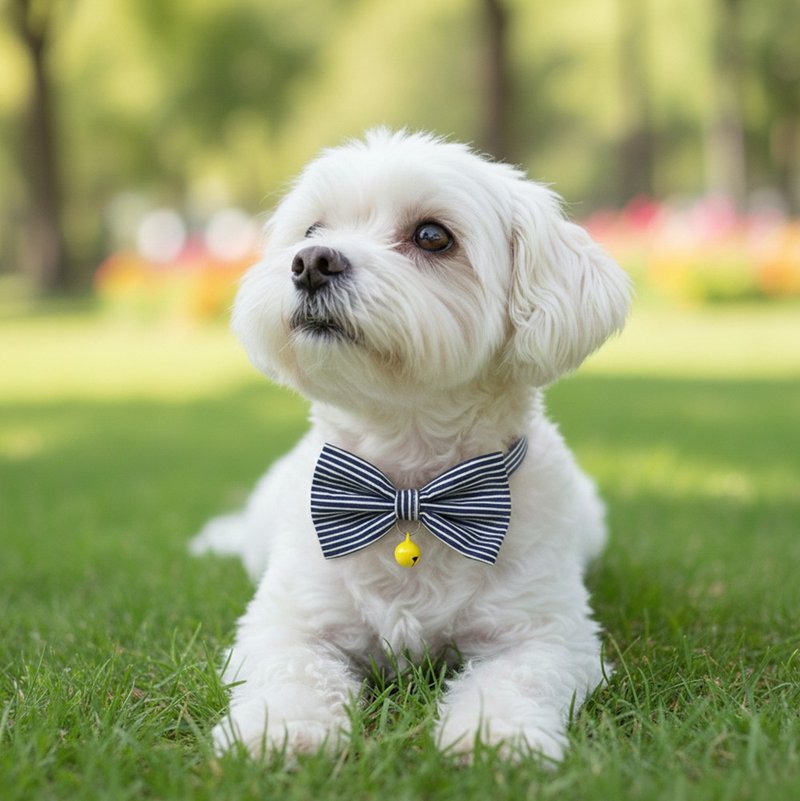 条纹款 蝴蝶结宠物装饰项圈 猫咪 小型犬 迷你犬 - 项圈/牵绳 - 棉．麻 蓝色
