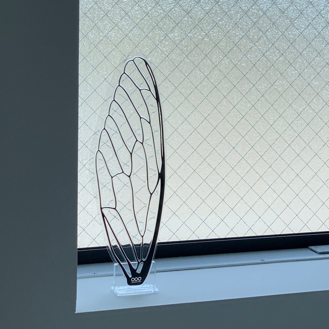 Cicada Fan Stand clear - 扇子 - 塑料 透明