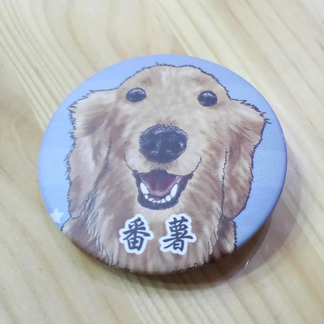 定制化-加姓名-磁铁胸针(6个)~ - 冰箱贴/磁贴 - 其他金属 