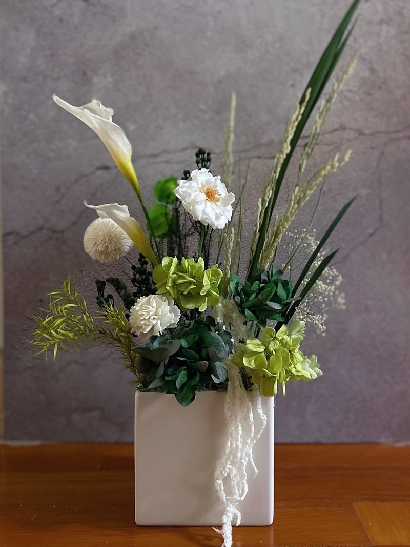 【花诉花艺】海芋绿植永生花礼/开幕花礼/升迁花礼/祝贺花礼 - 干燥花/捧花 - 植物．花 多色