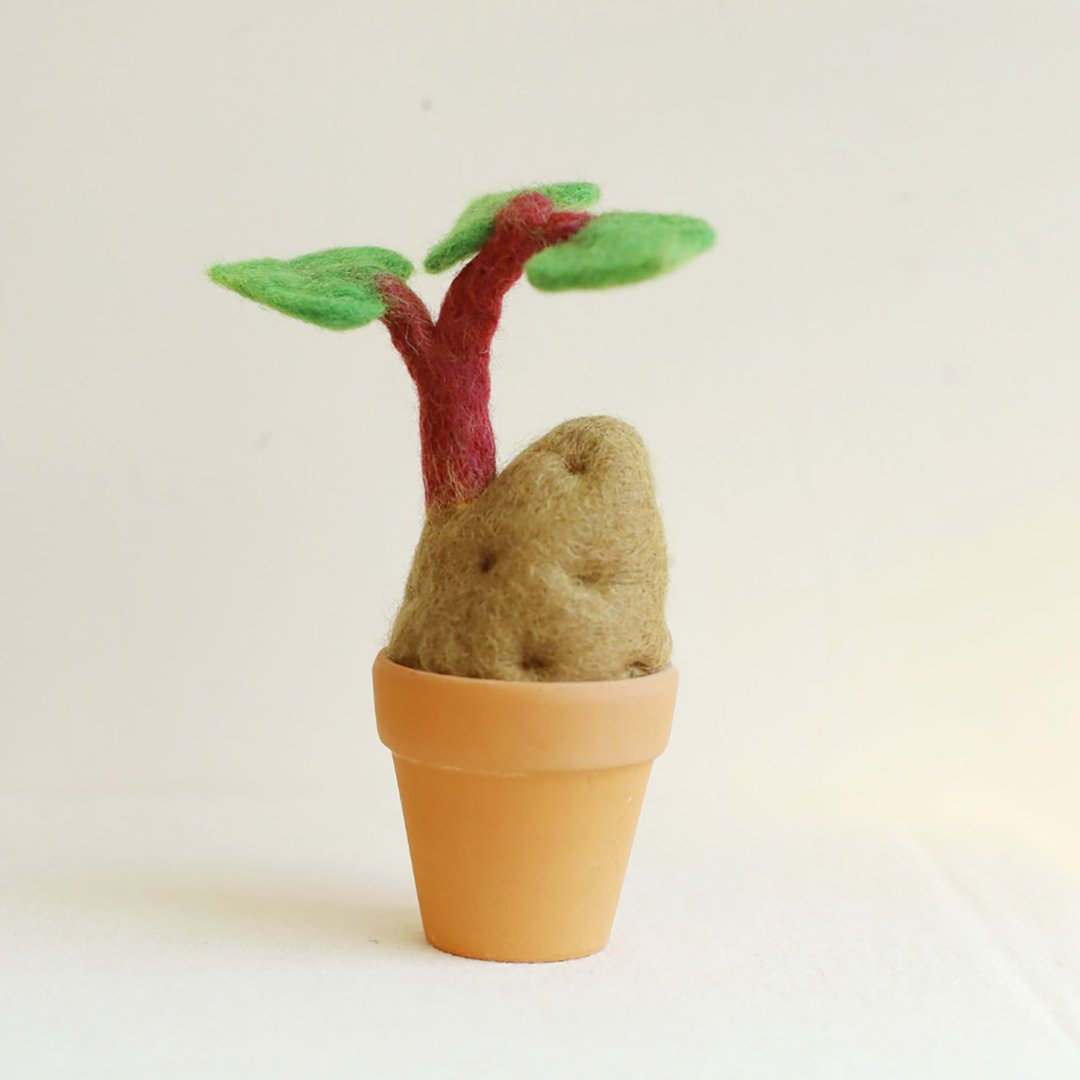 羊毛出在羊山上 羊毛毡  发芽系列 植栽 小盆栽 室内植物 地瓜叶 - 植栽/盆栽 - 羊毛 卡其色
