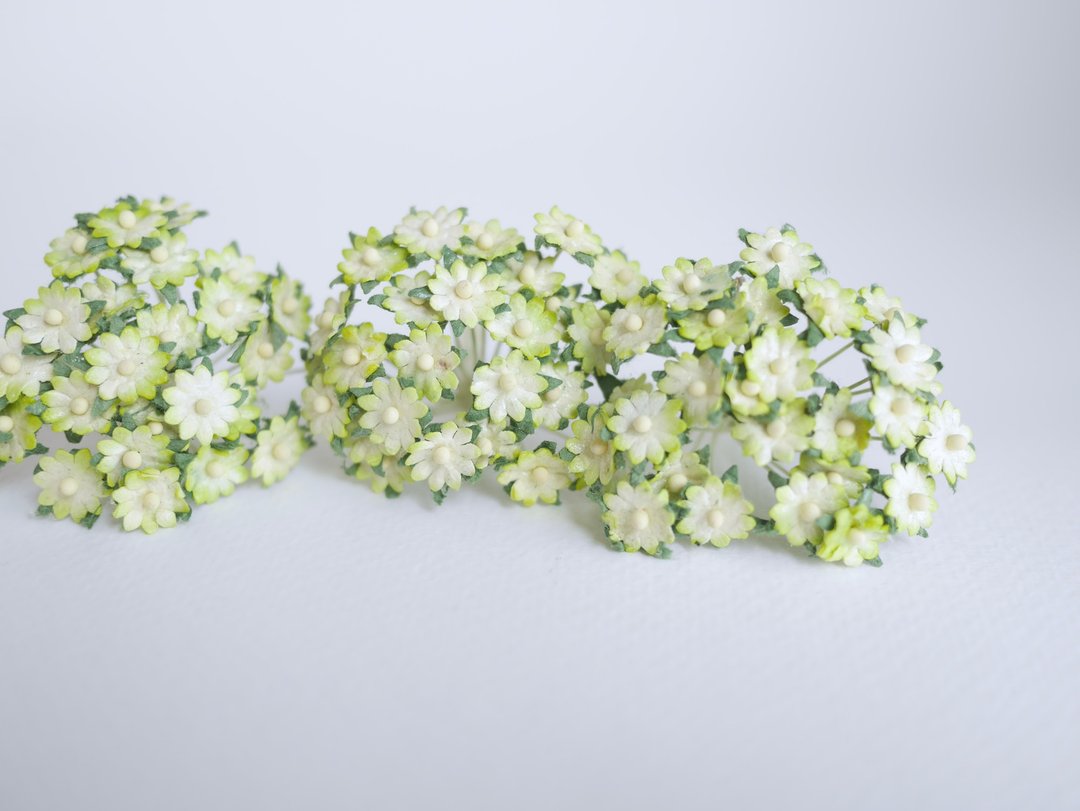 纸花，100 朵小雏菊DIY纸，尺寸1.00厘米，绿色刷色 - 其他 - 纸 绿色