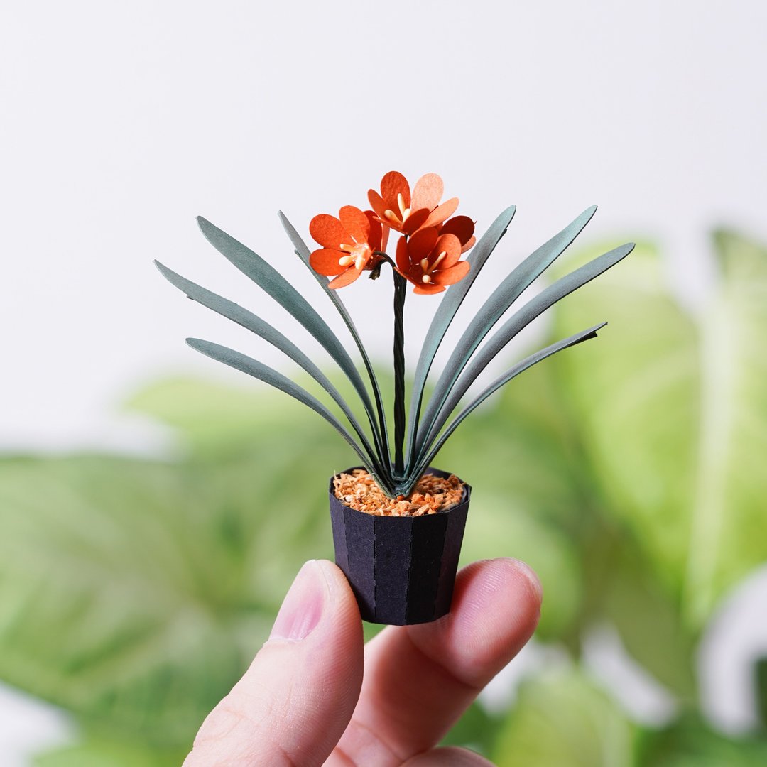 【纸植栽 DIY材料包 S】 君子兰 | 9028405 纸风景 - 木工/竹艺/纸艺 - 纸 绿色
