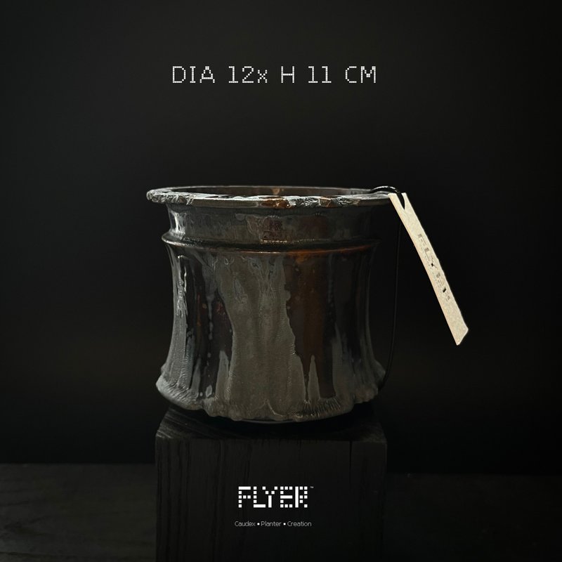 FLYER 块根多肉植物陶盆器 龙舌兰象牙宫象足漆树盆器 - 花瓶/陶器 - 陶 黑色