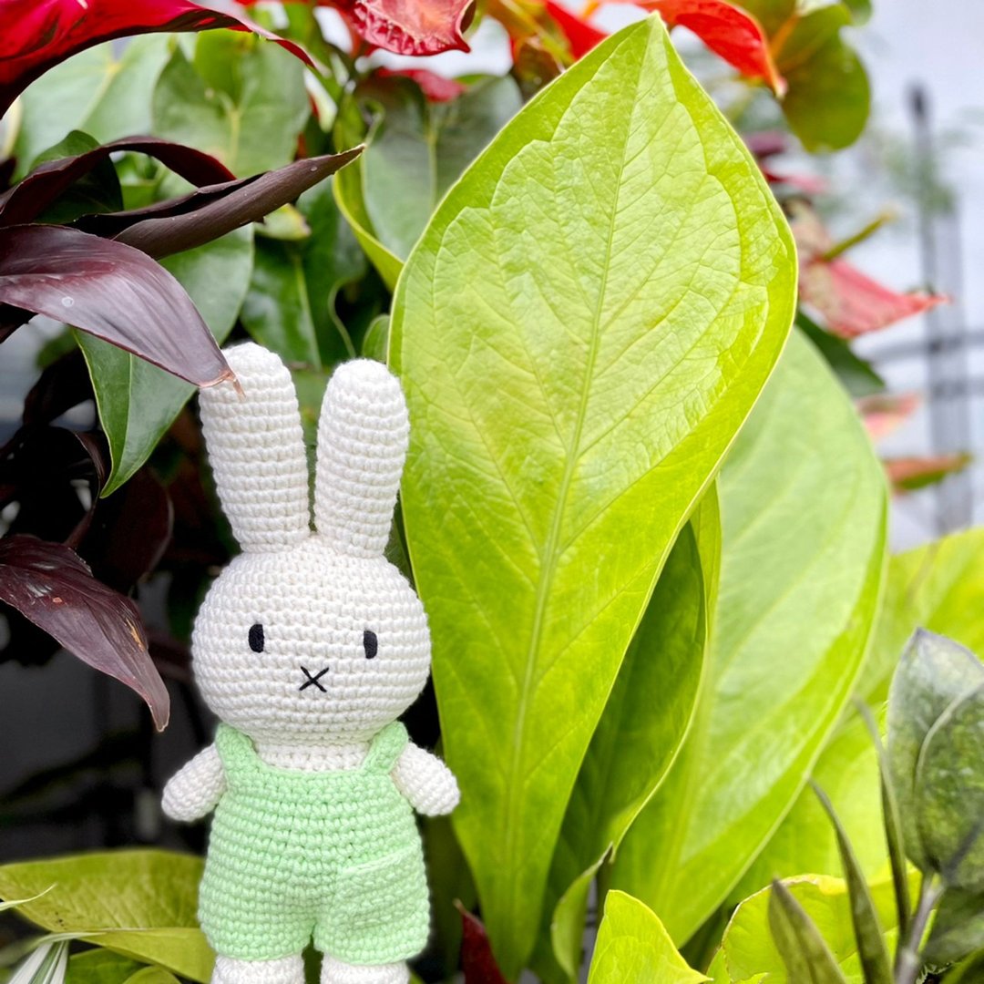 荷兰 Just Dutch | Miffy 米飞兔 编织娃娃和她的开心果绿吊带裤 - 玩偶/公仔 - 棉 绿色