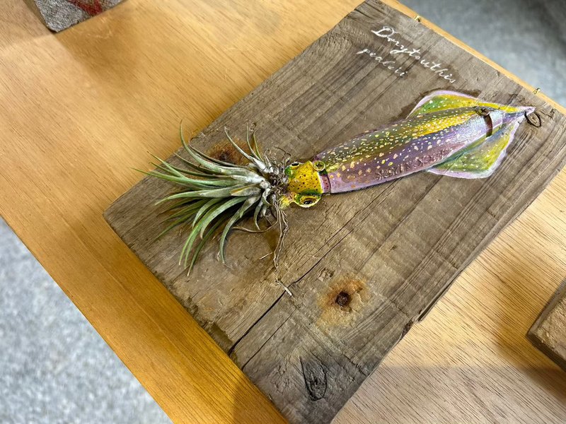 海废浮球空气凤梨植栽-头足类 - 摆饰 - 植物．花 卡其色