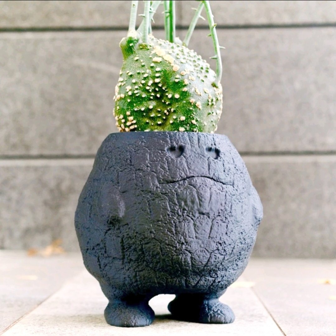 【熔岩肥蛋】植物盆器 3d打印盆器 原创设计 块根盆 多肉盆 陶盆 - 植栽/盆栽 - 塑料 