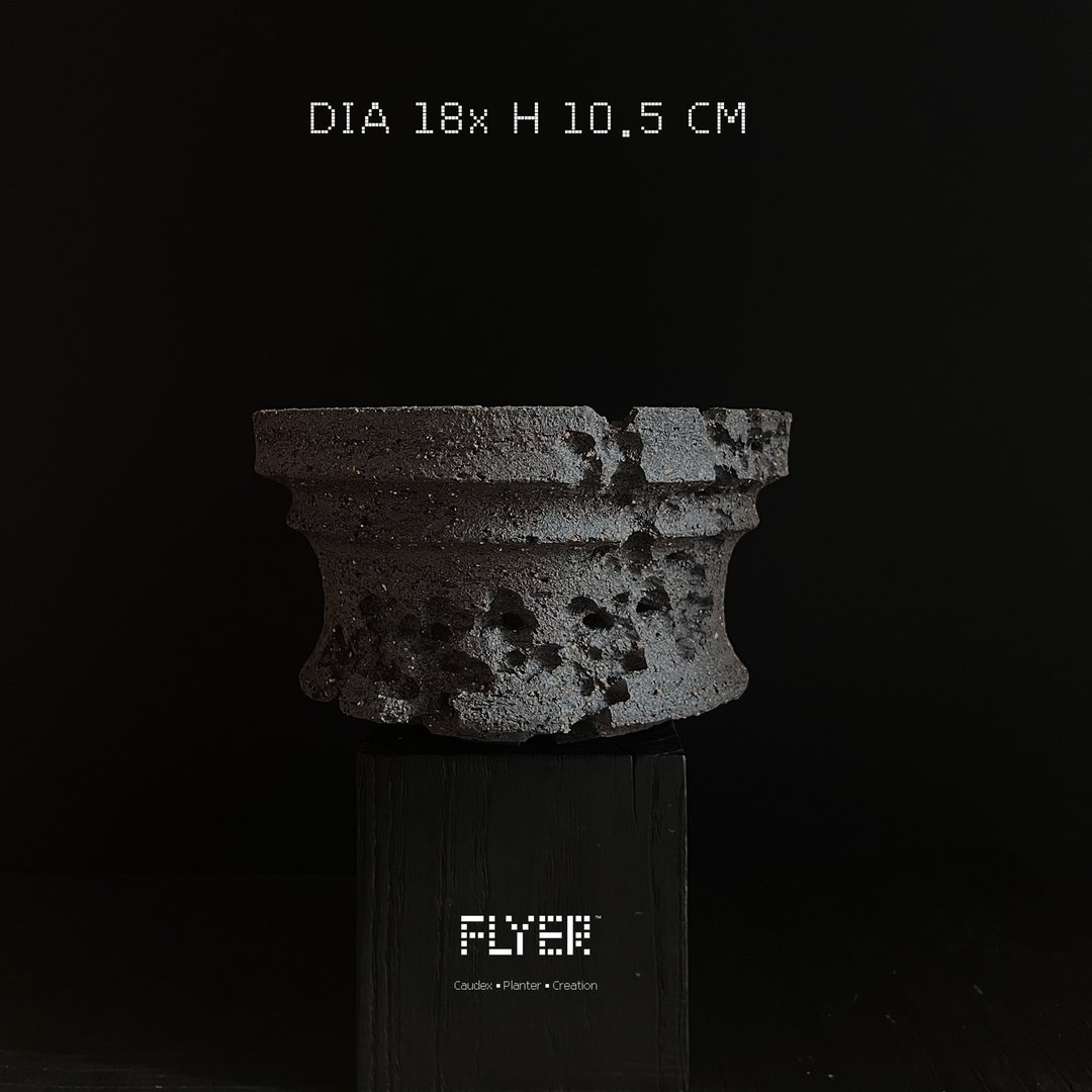 FLYER 块根多肉植物陶盆器 龙舌兰象牙宫象足漆树盆器 粗陶系列 - 花瓶/陶器 - 陶 黑色