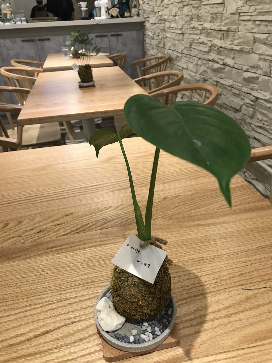苔玉小植栽_小大花艺 FAITH FLORAL - 植栽/盆栽 - 植物．花 绿色