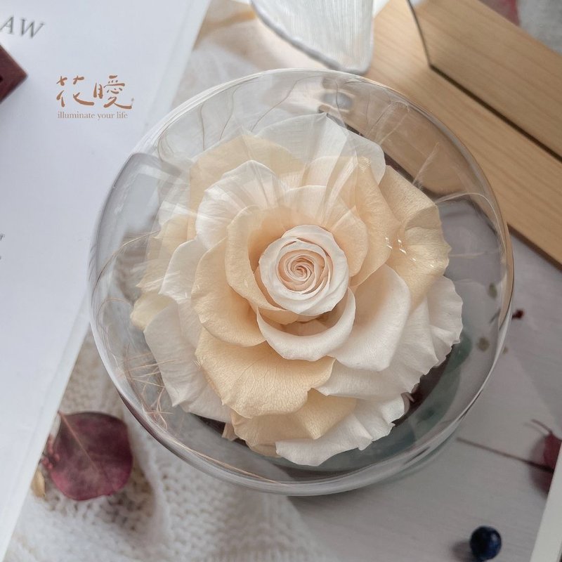 【花暧】双色永生花玻璃球小夜灯 - 干燥花/捧花 - 植物．花 橘色