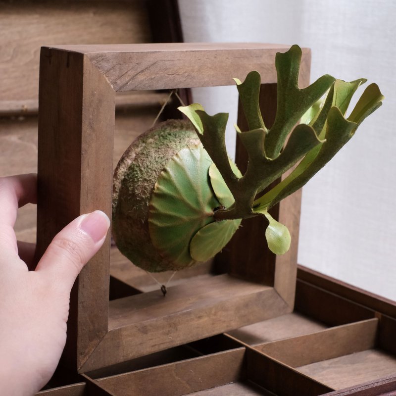 P. ridleyi 亚洲猴脑 仿真鹿角蕨 皮革工艺 (小) - 摆饰 - 真皮 绿色