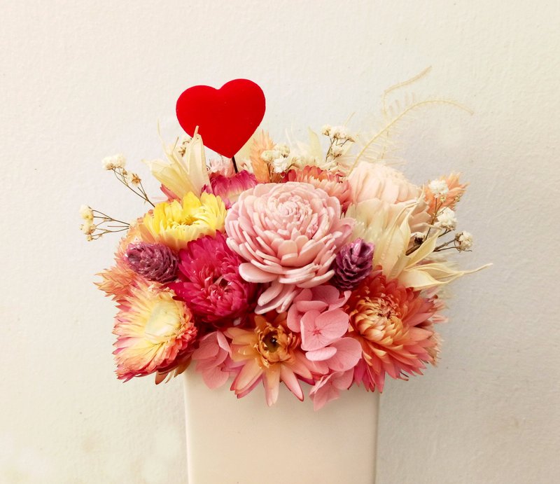 PA Daily专属卖场0511出货 - 植栽/盆栽 - 植物．花 粉红色