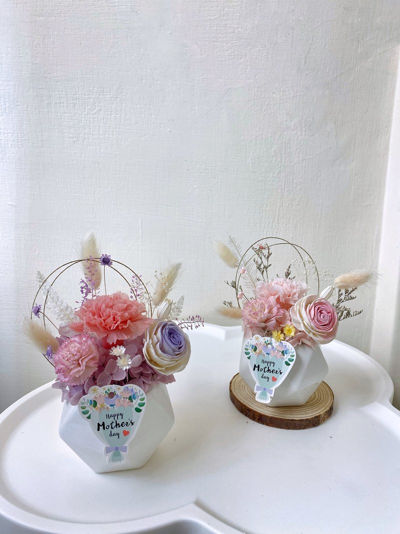 母亲节礼物 永生康乃馨盆花 母亲节花束 康乃馨永生花 母亲节花礼 - 干燥花/捧花 - 植物．花 粉红色