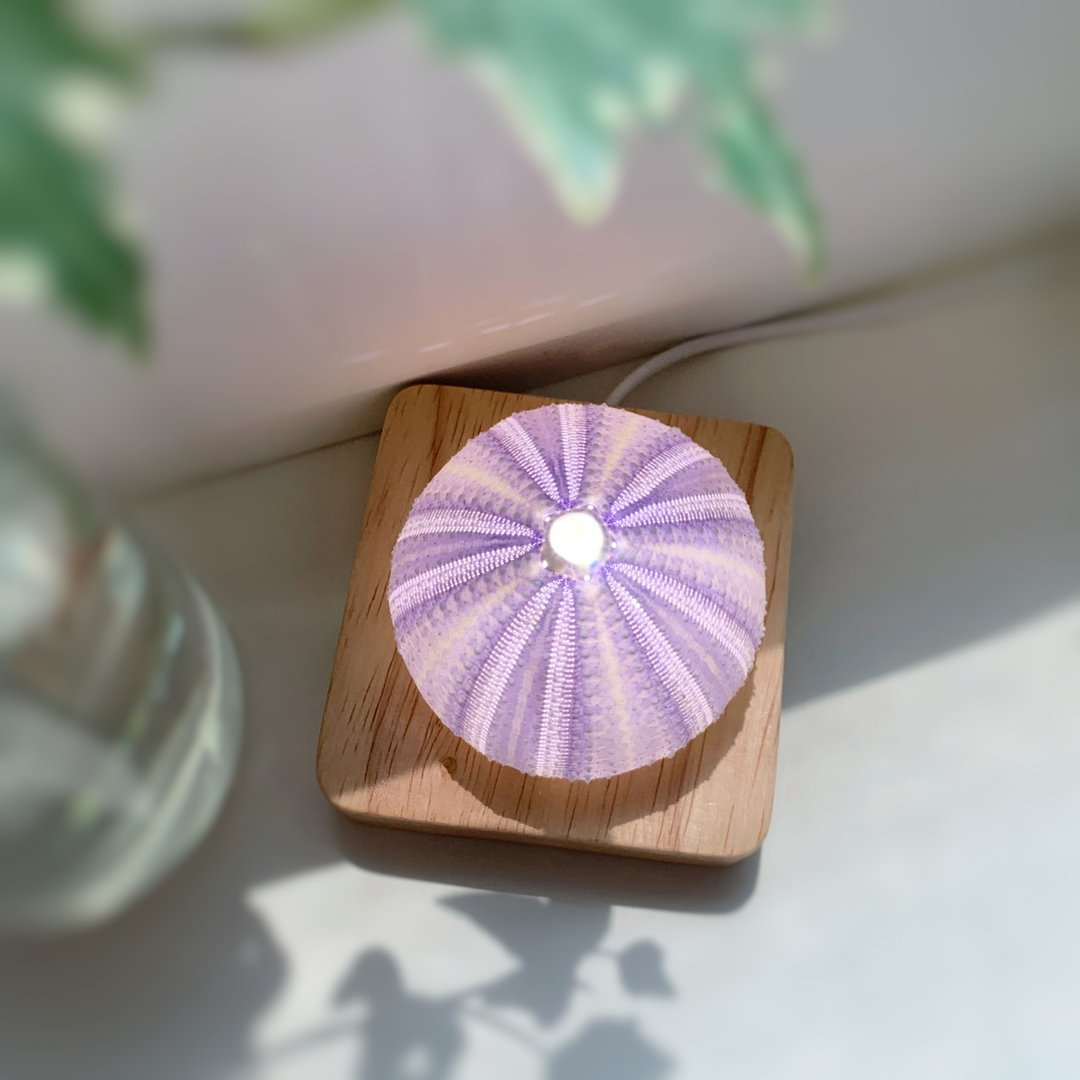 天然紫海胆手作小夜灯 气氛灯 居家摆饰 方型灯座 - 灯具/灯饰 - 贝壳 紫色