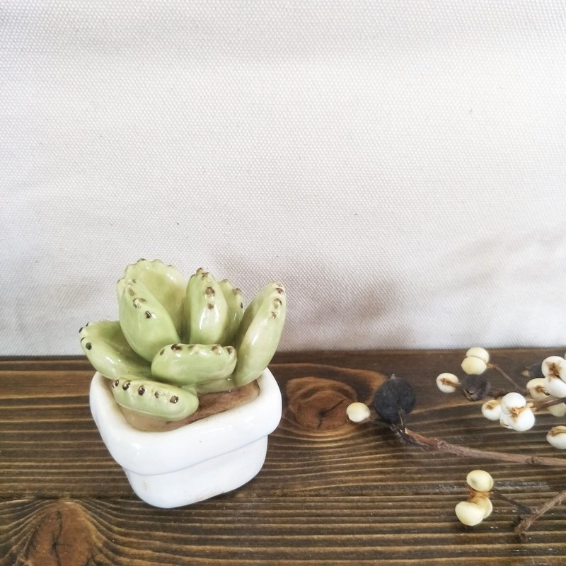 多肉系列-熊童子摆饰 - 摆饰 - 瓷 