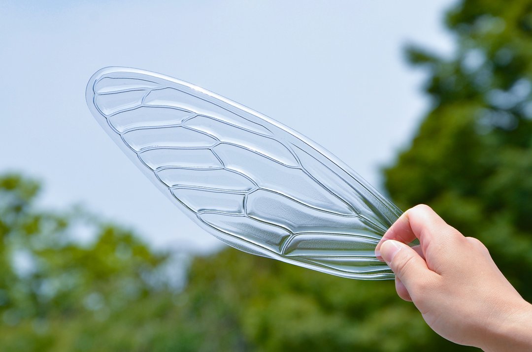 蝉翅膀造型扇子 透明  Cicada Fan Clear - 扇子 - 塑料 透明