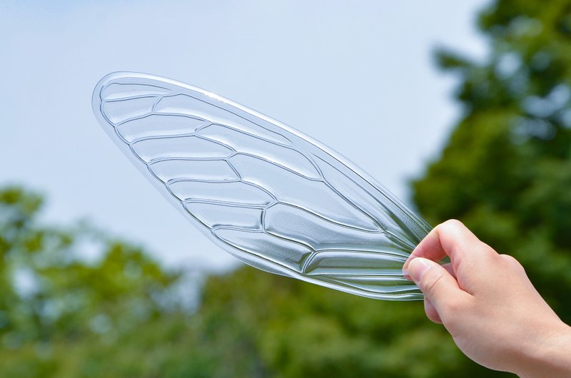蝉翅膀造型扇子 透明  Cicada Fan Clear - 扇子 - 塑料 透明