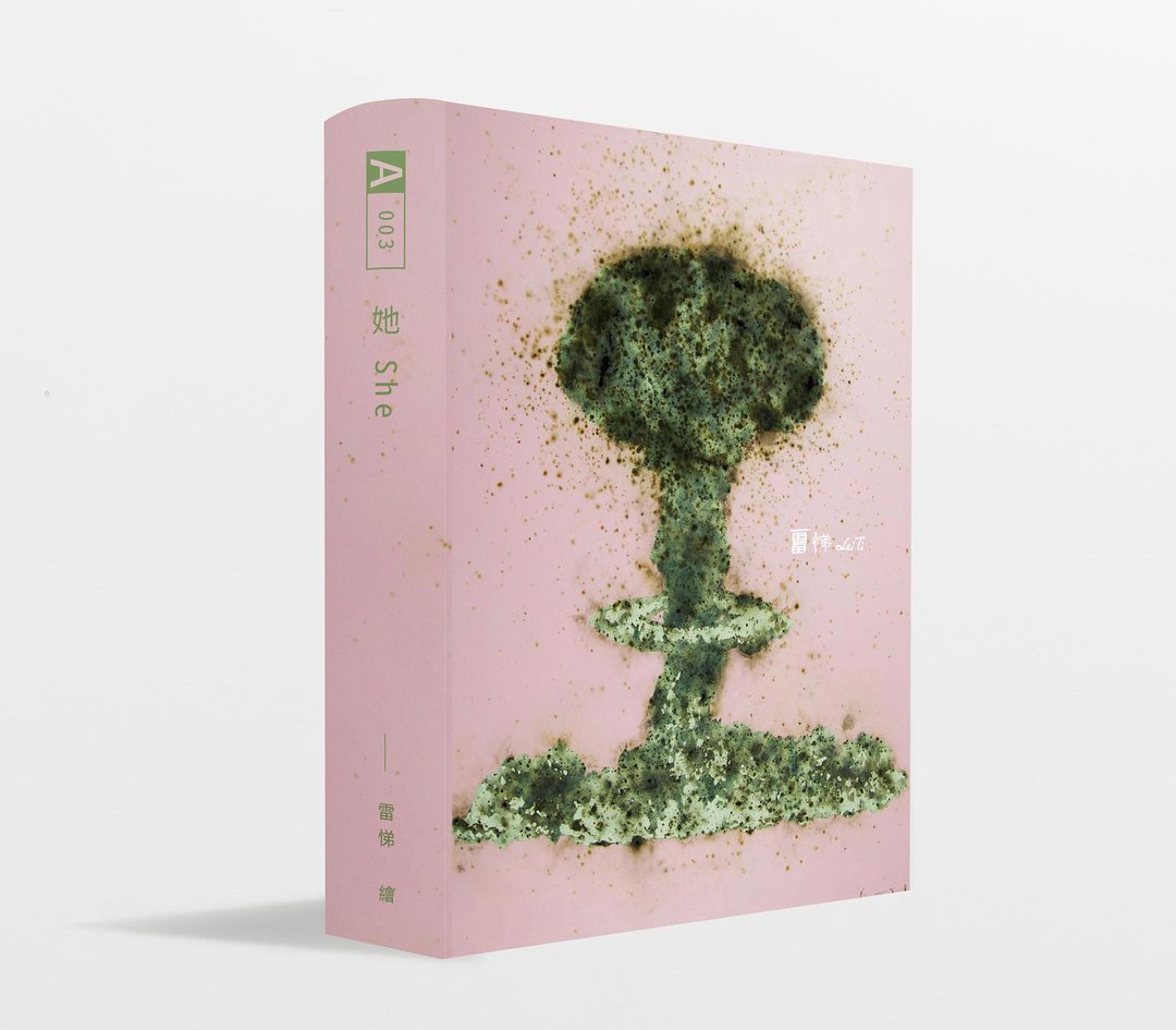 (书型盒)艺术家联名面膜 雷悌－她 - 面膜/冻膜 - 浓缩/萃取物 