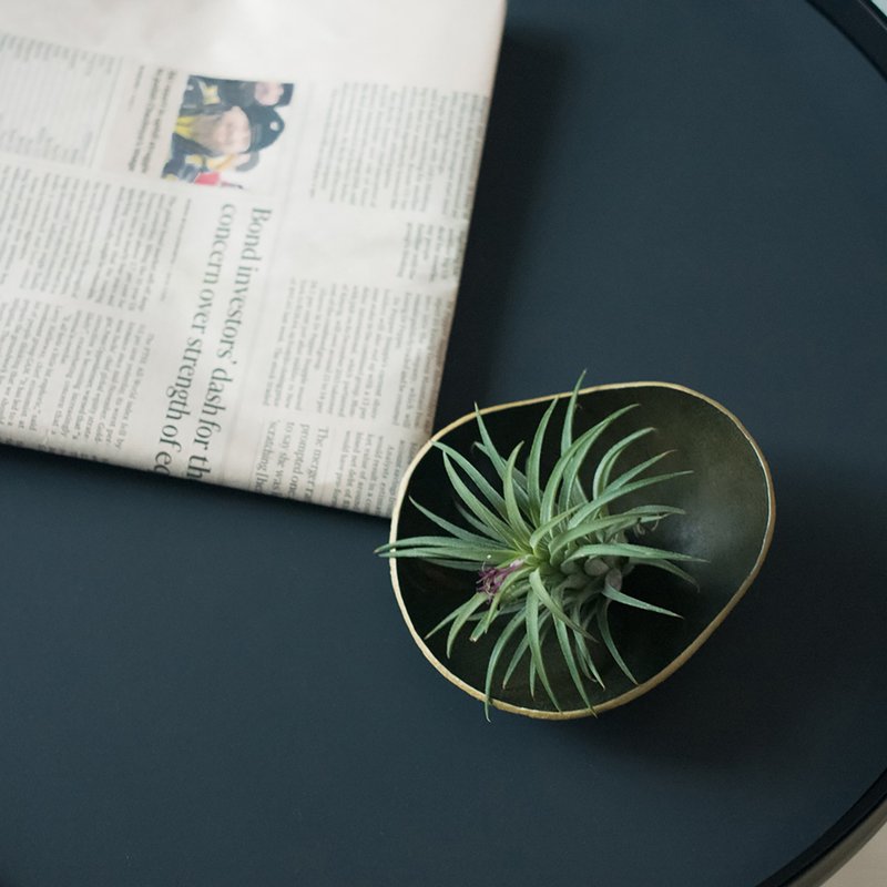 展示品 瑕疵区 皮革手塑碗盘 饰品盘 手工皮革订制品 SHAPING系列 - 收纳用品 - 真皮 绿色