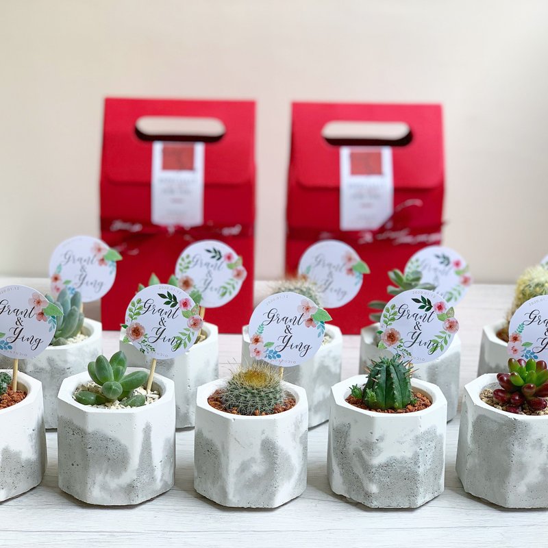 【抢着要の婚礼小物】迷你多肉水泥盆 6~12盆 免费定制新人名插旗 - 植栽/盆栽 - 水泥 灰色
