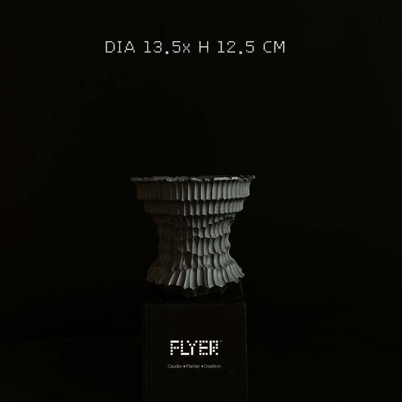 FLYER 块根多肉植物陶盆器 龙舌兰象牙宫象足漆树盆器 - 花瓶/陶器 - 陶 