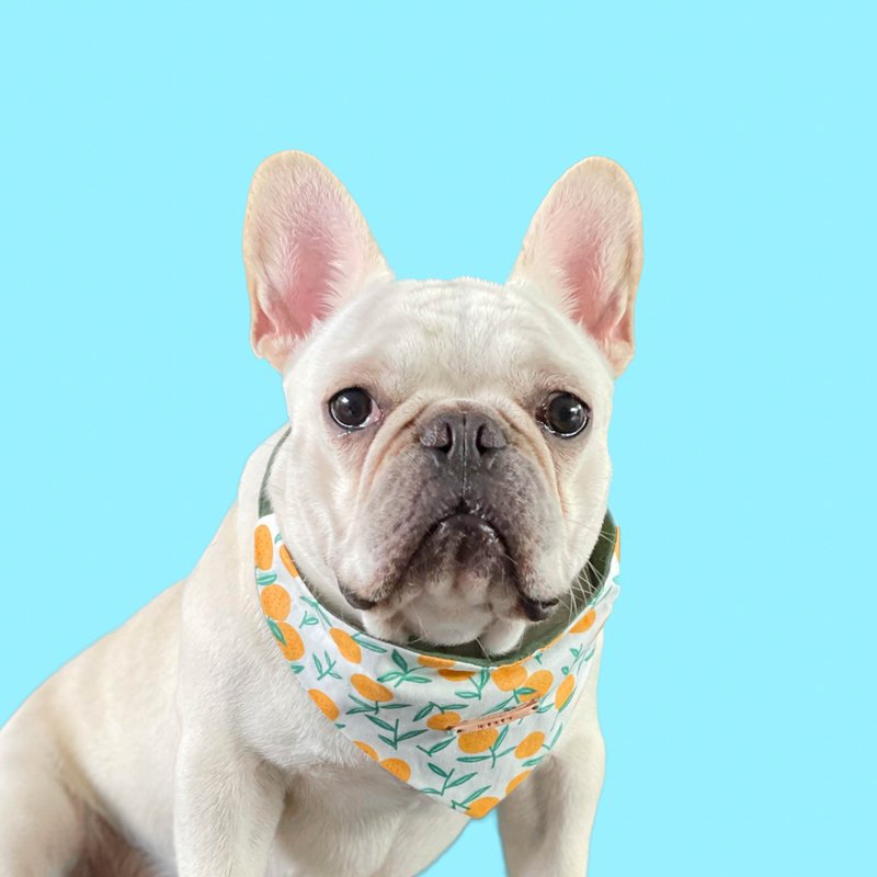 Orange bandana for Pets - all cat breeds and small to medium dogs - 项圈/牵绳 - 棉．麻 橘色