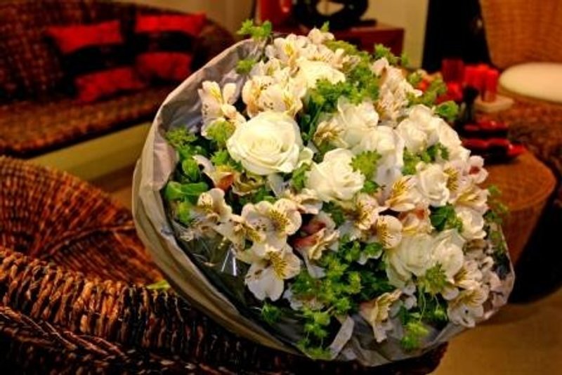 薇多丽雅 - 植栽/盆栽 - 植物．花 橘色