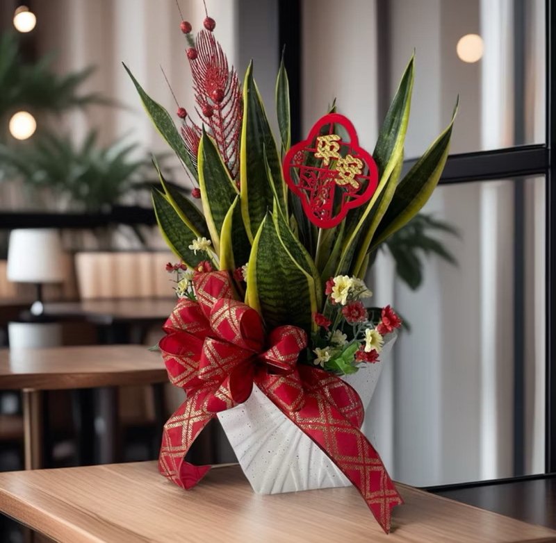 【送礼首选】虎尾兰 开幕新居乔迁升官送礼 招财风水可定制私讯 - 植栽/盆栽 - 陶 