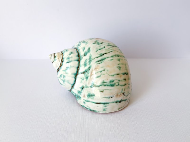 神奇的大海螺 贝壳 螺 海螺 - 摆饰 - 贝壳 