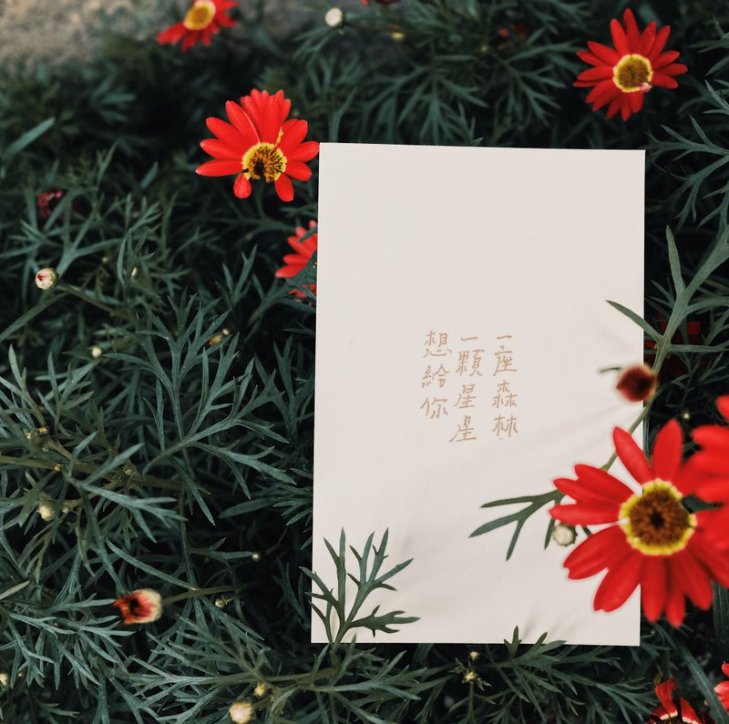 献上祝福。想给你一颗星星一座森林 文字明信片 青青的岛 - 卡片/明信片 - 纸 