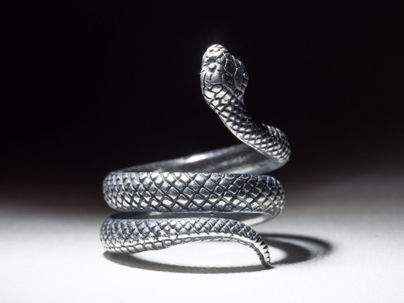 Adjustible size Snake ring. Coiled Snake metall ring. Twisted Snake animal ring - 戒指 - 其他材质 
