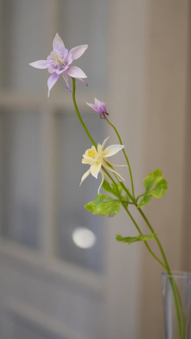 招生中/手作黏土花艺——梦幻草 双人另有优惠 限平日 - 植栽 - 粘土 