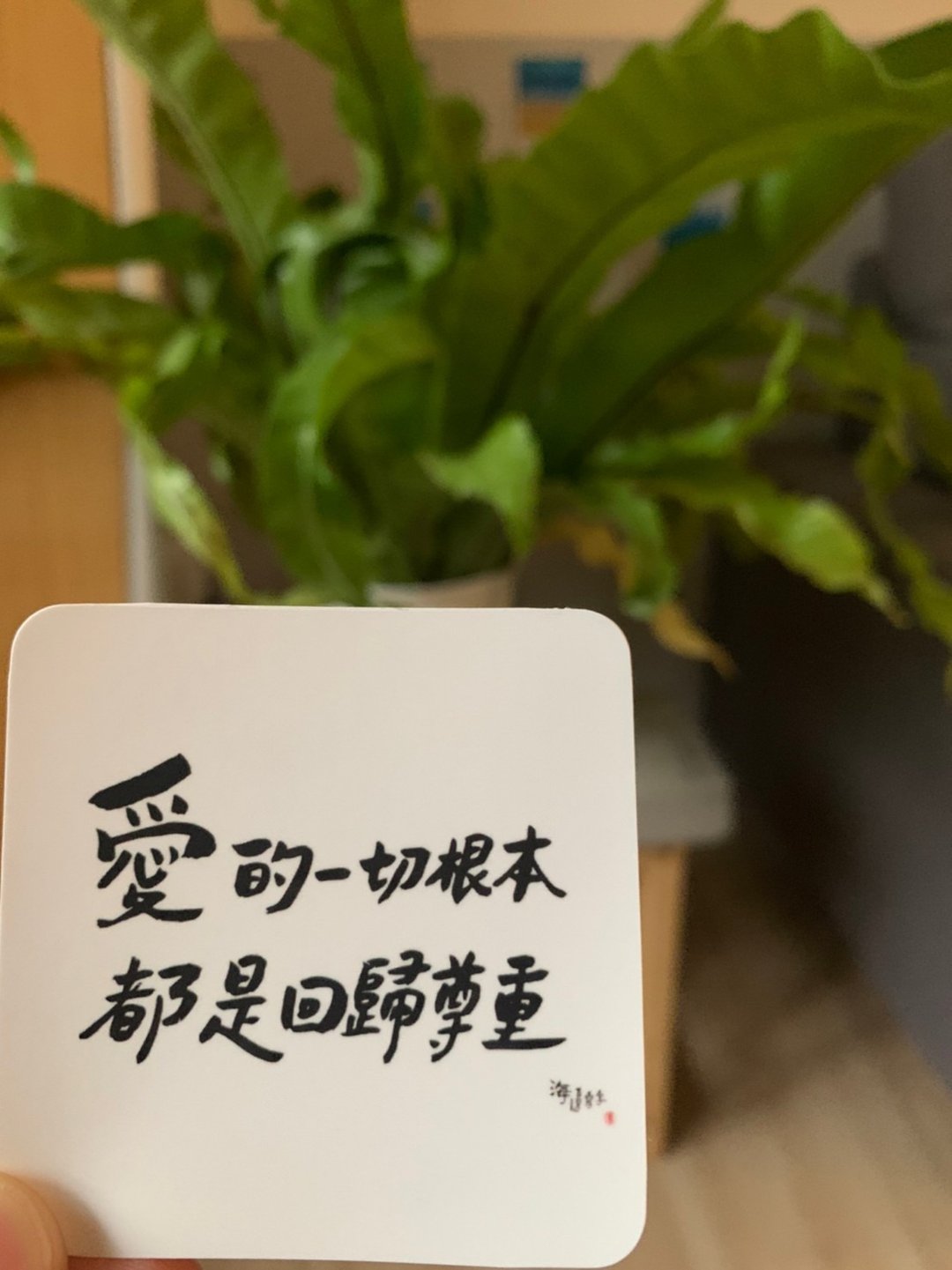 爱的一切根本都是回归尊重 / 文字贴纸 - 贴纸 - 纸 白色