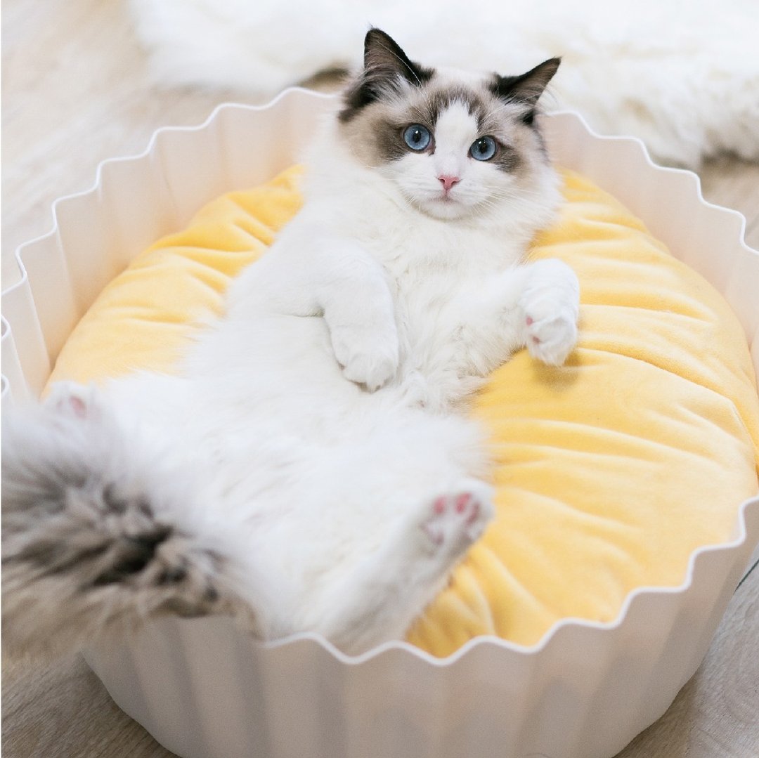 蛋挞猫窝 宠物窝 猫床 四季通用 宠物窝垫 狗窝 垫子可拆洗 - 床垫/笼子 - 塑料 黄色