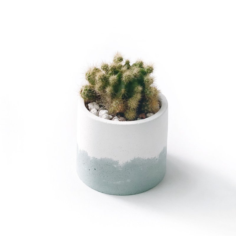 (现货) 莫兰迪绿系列 | 子吹金盛丸 圆形双色水泥仙人掌植栽 - 植栽/盆栽 - 植物．花 绿色