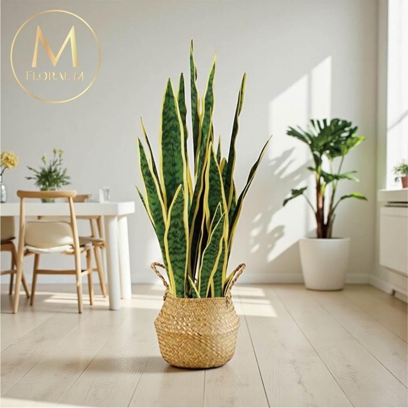 居家招财进宝旺事业虎尾兰仿真植栽 - 摆饰 - 塑料 绿色