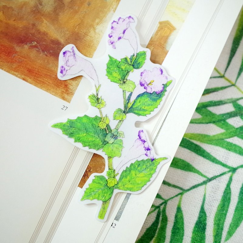 台湾特有种 曲茎兰嵌马蓝 绘画PVC防水大贴纸 - 贴纸 - 防水材质 紫色