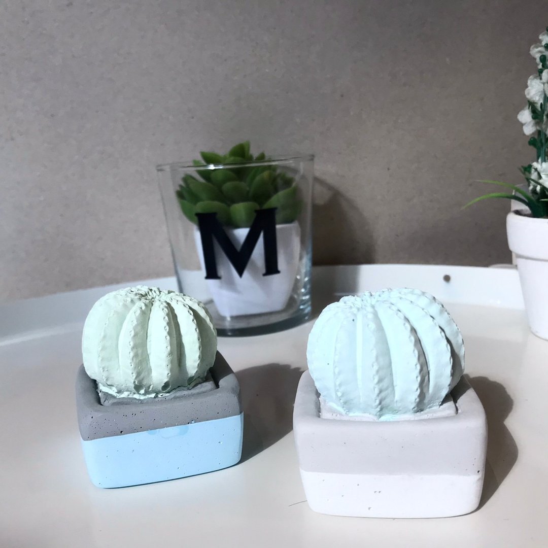 【MINI LIFE x 氛享日记】仙人球造型扩香石 - 香薰/精油/线香 - 水泥 多色